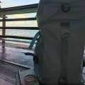 我是她