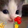 UnsweetPea
