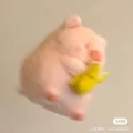 小鱼饼饼
