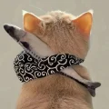 是圆圆呀