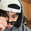 毛考拉