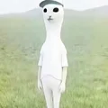 不可以凶佳佳