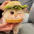 姜圆圆