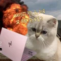 净发大财