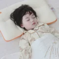 小鱼冻干
