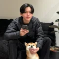 维森活