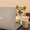 胡哎呀