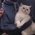 L💙凯琳