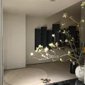 远端