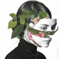 少女食人花