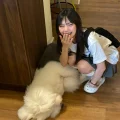 面包丸子头