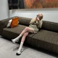 七只虾虾