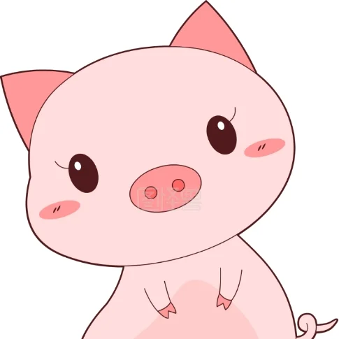 梦琪