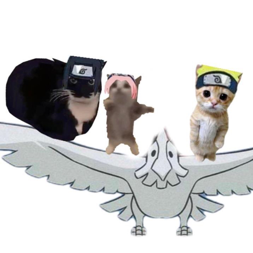 貓喵meme日常