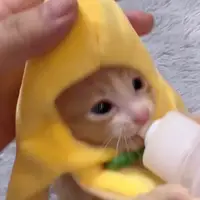 朋克奶媽
