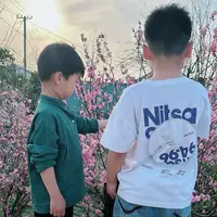 糖果醬
