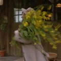 泙泙無奇