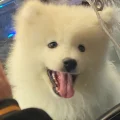 补想上班