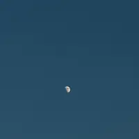 才不吃兔兔