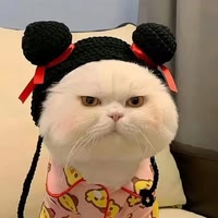 懶芽芽