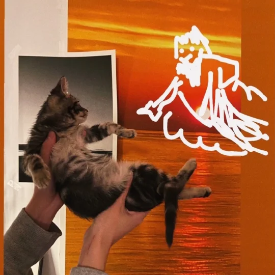 啾啾啾