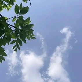 想想吖