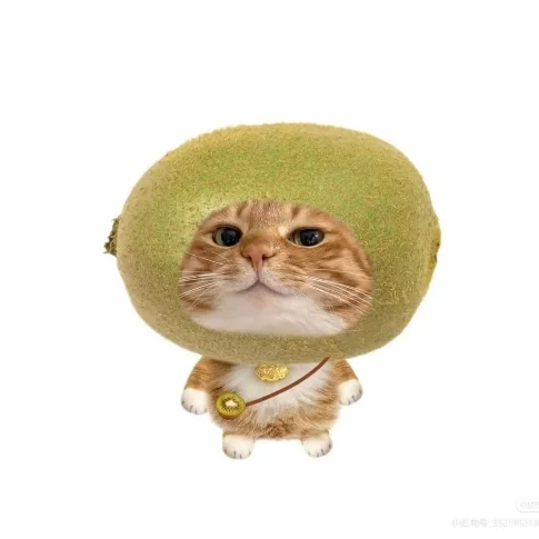 猕猴桃咪
