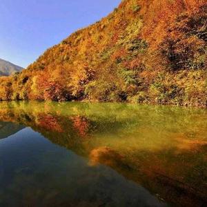 小熠爱旅游