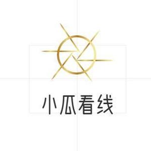 小瓜看线