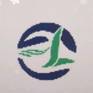 双子科技