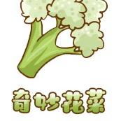 车行世界