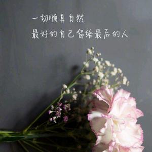 电影有料日记