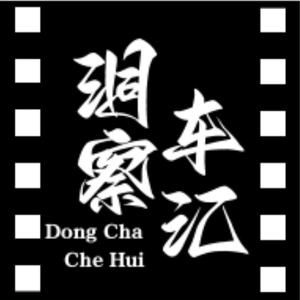 洞察车汇