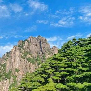 知情局