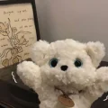 球哆哆-