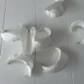 H2o
