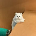 源源