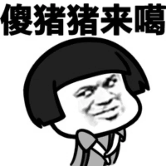傻猪猪