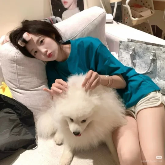春不晚