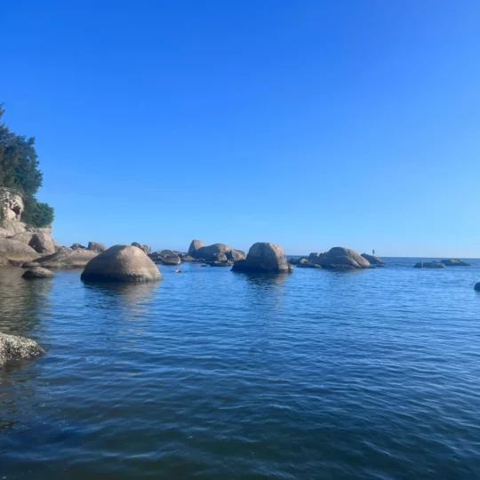 阳阳得意