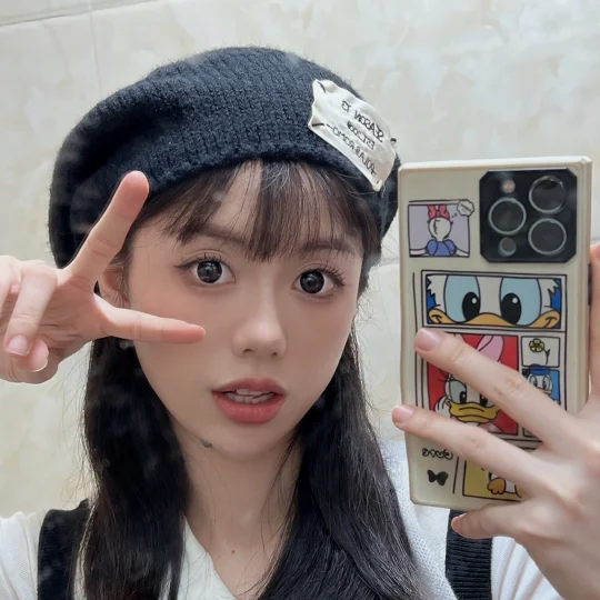 一把小手枪