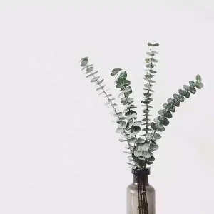 酶西瓜班陈雯