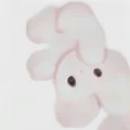 梨听听