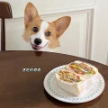 李小奇的快乐生活