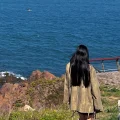 尘柿子