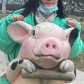 宽宏大量的七飞