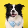 BunBun麻麻