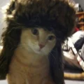 J.C