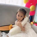 柠檬味的猫
