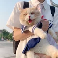 小山胖和一杠同学